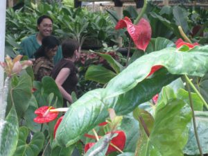 gardens of Bandung- Ann Southcombe